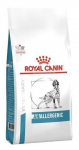 Kuiv koeratoit Royal Canin Anallergenic, 1.5 kg
