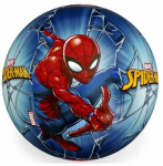 Rannapall Bestway Spiderman, 51 cm x 51 cm