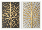 Fotomaal Wallity, 2pbct-05, 35 cm x 50 cm
