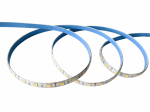 LED riba Okko SMD5050, 9.6 W, 3280 lm, 3 m, IP65, 12 V