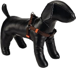 Koerte traksid Beeztees Harness, pruun v., 600 - 1000 mm x 25 mm, 60-100X25