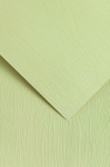 Dekoratiivpaber Galeria Papieru Oak, A4, 230 g/m&sup2;, roheline, 29.7 cm x 21 cm