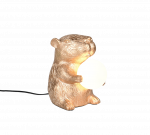 Laualambid Reality Capi, G9, 5W