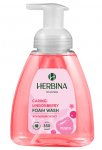 Vedelseep Herbina Caring Lingonberry, 300 ml