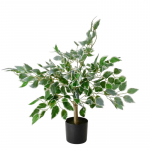 Kunsttaim potis, viigipuu Mondex Viridis, roheline, 65 cm x 12 cm