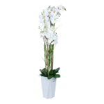 Kunstlilled vaasis, orhidee Home4you Garden Queen, valge v., 132 cm