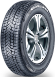 Universaalne autorehv Sunny NC501 2255647 205/50/R17, 93-W, XL, C, C, 67 dB