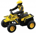 M&auml;nguauto Maisto