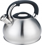 Vilega teekann Maestro, 3 l, roostevaba teras v.