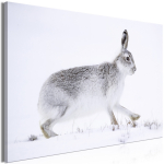 Reproduktsioon Artgeist Hare KR33, 30 cm x 20 cm