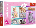Pusle Trefl Sweet Kittens 17373, 22 cm x 33 cm, 60 tk, mitmev&auml;rviline
