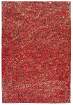 Vaip sise Arte Espina Finish 100, kuldne/punane, 290 cm x 200 cm
