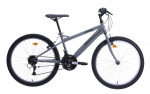 Jalgratas m&auml;gi- Bottari MTB Torino, 24 ", 24" raam, hall v.