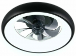 Laeventilaator koos lambiga Reality Muonio, 20 W, 1 tk