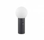 Vabalt seisev v&auml;lisvalgusti Trio Sensor, 40W, E27, IP44, antratsiit v., 18 cm x 40 cm