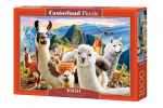 Pusle Castorland Llamas Selfie 1000 el. C-104758, 47 cm x 68 cm, 1000 tk, mitmev&auml;rviline