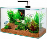 Akvaarium Zolux Clear Aqua Kit 309020, l&auml;bipaistev v., varustusega, 32 l