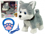 M&auml;nguloom koer Lean Toys Your Four Legged Friend, valge/hall