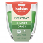 K&uuml;&uuml;nal, l&otilde;hna Bolsius Summer Grass, 21 h, Roheline v.