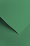 Dekoratiivpaber Galeria Papieru Sawana, A4, 220 g/m&sup2;, roheline, 29.7 cm x 21 cm
