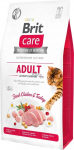 Kuiv kassitoit Brit Care Activity Support Fresh Chicken & Turkey, kanaliha/kalkun, 0.4 kg