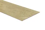 Iluliist Domoletti, 248 cm x 14.8 cm x 0.55 cm