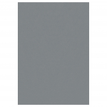 Vaip sise Ayyildiz 1201705400, hall v., 170 cm x 120 cm