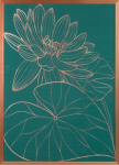 Reproduktsioon Salvia5, 53 cm x 73 cm