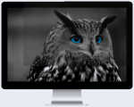 Privaatsusfilter (Privacy filter) Natec Owl 24" 16:9, 24 "