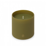 K&uuml;&uuml;nal, l&otilde;hna Spaas, 35 h, Roheline