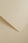 Dekoratiivpaber Galeria Papieru Wood, A4, 220 g/m&sup2;, kreemjasvalge, 29.7 cm x 21 cm
