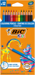 V&auml;rvipliiatsid Bic Evolution, 12 tk