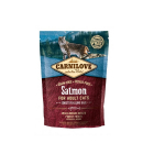 Kuiv kassitoit Carnilove Salmon Adult, kalaliha, 0.4 kg