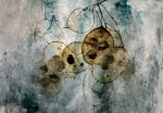 Fototapeet Artgeist Nature And Lunaria, 70 cm x 70 cm