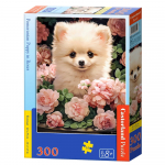Pusle Castorland 300 B-030552, 40 cm x 29 cm, 300 tk