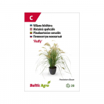 Seemned Baltic Agro k&otilde;rrelised