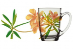 Tass Luminarc New Morning Freesia, l&auml;bipaistev/mitmev&auml;rviline, 0.32 l