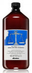 &Scaron;ampoon Davines Natural Tech Rebalancing, 250.0 ml