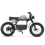 Elektriratas Ape Ryder 20 Gibbon, 1, 20", 250 W, 20 Ah, must/hall