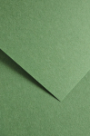 Dekoratiivpaber Galeria Papieru Earth, A4, 210 g/m&sup2;, roheline, 29.7 cm x 21 cm