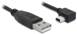 Juhe Delock USB / USB-mini Mini USB male, USB 2.0 A male, 2 m, must v.