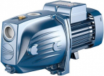Veepump Pedrollo, 750 W