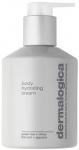 Kehakreem Dermalogica Hydrating, 295 ml