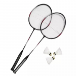 Sulgpallikomplekt Master Fly 2 B059, 5 tk