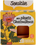 Taimekasvatuse komplekt Radis Et Capucine Growing Kit Mimosa, pruun/kollane