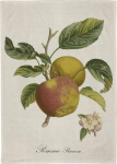 K&ouml;&ouml;gir&auml;tik Skona Ting Apple Tree, mitmev&auml;rviline, 70 cm x 50 cm