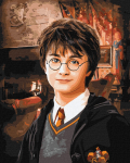 Maalimine numbrite j&auml;rgi Harry Potter, (v&auml;rv/disain valitakse juhuslikult)