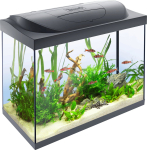 Akvaarium Tetra Starter Line 305632, must v., varustusega, 80 l
