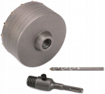 Augufrees Geko, 12 cm