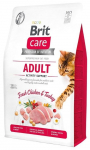 Kuiv kassitoit Brit Care Activity Support M-BRCAVG2, kanaliha/kalkun, 2 kg